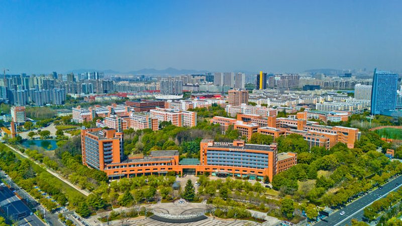 成都电子代工定制服务：揭秘其背后的技术奥秘