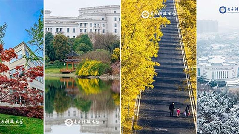 电子设计入门与进阶：跨越技术鸿沟的关键点