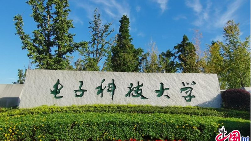 电子加工行业标准规范：遵循与注意事项