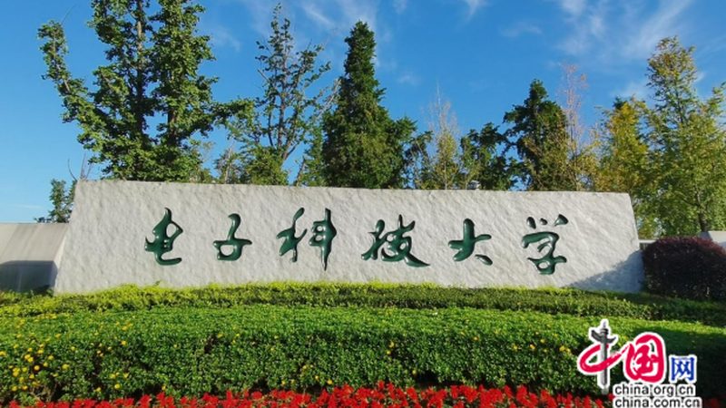 电子模块尺寸规格：揭秘尺寸背后的选型逻辑
