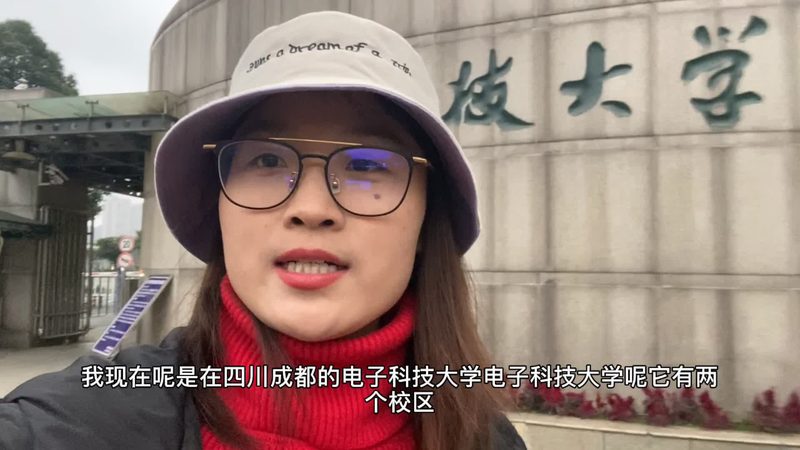 安规电容器：揭秘其型号与参数背后的秘密**